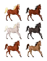 Schilderijen op glas Horses in different colors. © ddraw