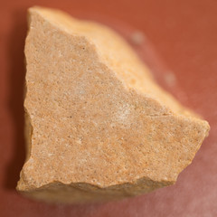 Arenaria Miele © lucazaccaria7919