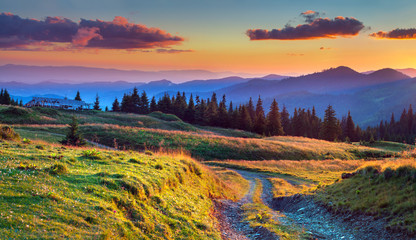 Colorful summer sunrise in the mountains