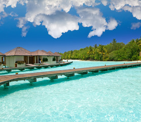 houses over the transparent quiet sea water  and a palm tree