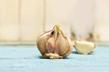 Organic Garlic - Cross Section