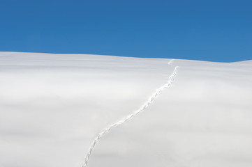 minimal landscape of footprints in the snow