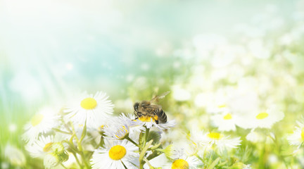 Frühling