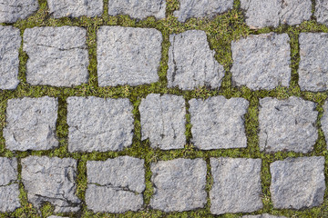 square stones texture with grass