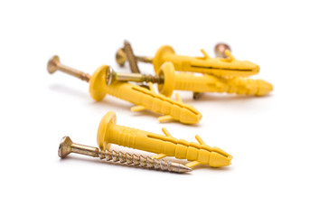 Scews and Dowels isolated on white