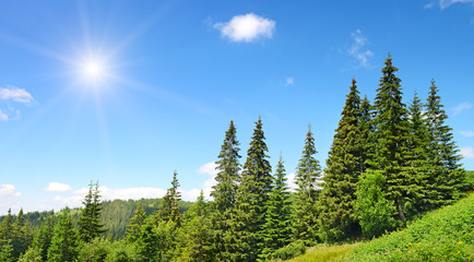 Fototapeta premium High mountains and sun