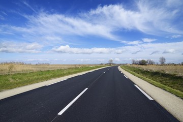 Road in the Camargue, France.