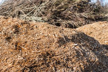 Heaps of branches and wooden pieces after seasonal pruning the t