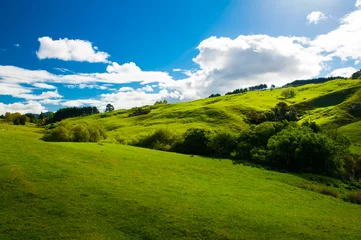 Foto auf Acrylglas Hügel von Neuseeland © Fyle