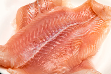Raw trout meat