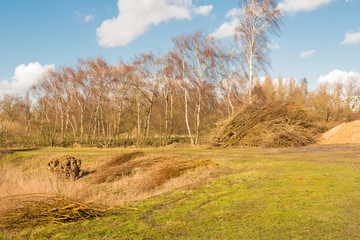 Park with usable pruning waste in springtime