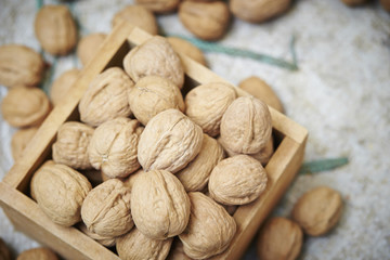 walnut