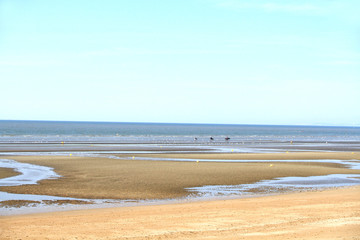 Fototapeta na wymiar na plaży w czasie odpływu