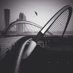 putrajaya , malaysia, cityscape