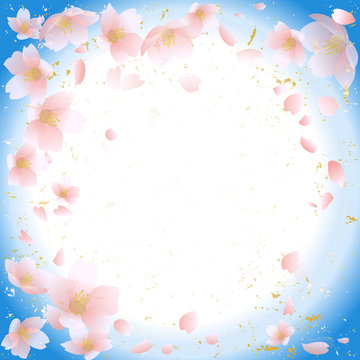 桜　 春