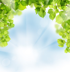Obraz premium Summer leaves on floral greenery background