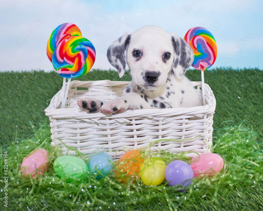 Sticker easter puppy