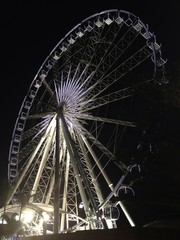 ferris wheel
