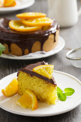 Orange cake with chocolate and orange slices.