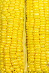 Yellow Sweetcorn texture