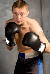 Plakat Professional young boxer in a fight