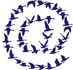 Sign Post of flying geese