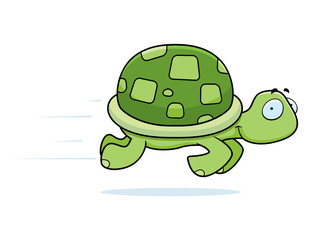 Turtle Running