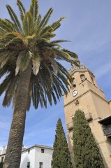 Tower church and palm in Ronda, Spain