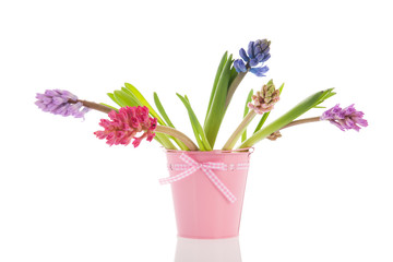 Bouquet Hyacinths