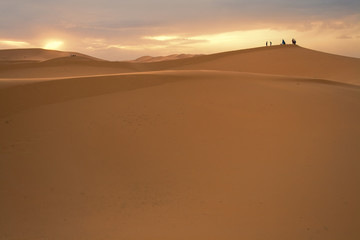 People silhouetted in sahara sunset