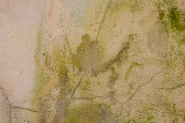 stone grunge background wall texture