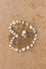 seashells heart shape