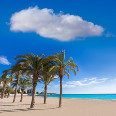 Alicante San Juan beach of La Albufereta with palms trees