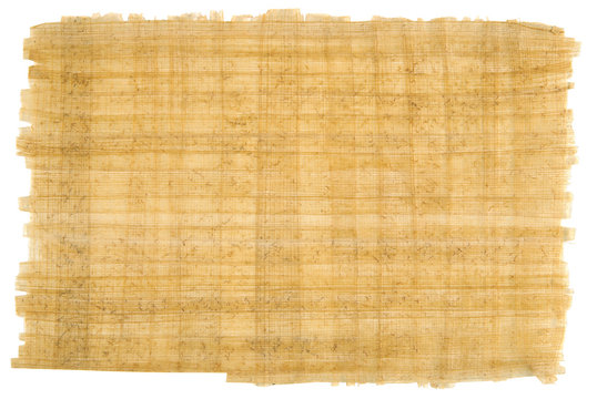 Organic bamboo paper isolated on white.