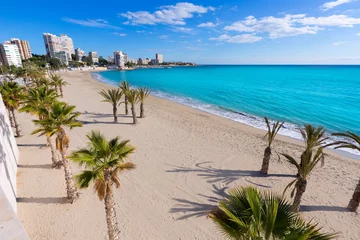 Foto op Canvas Alicante San Juan beach of La Albufereta with palms trees © lunamarina