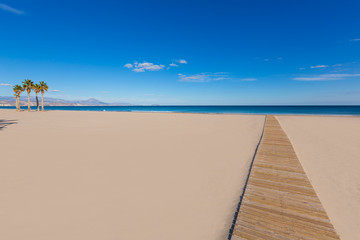 Fototapeta na wymiar Plaża Alicante San Juan z palmami w basenie Morza Śródziemnego