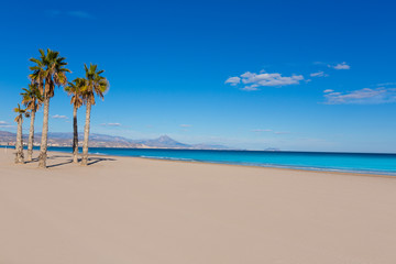 Alicante San Juan beach with palms trees of Mediterranean - obrazy, fototapety, plakaty