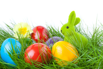 Easter Bunny with Easter Eggs on Green Grass