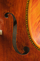 beautiful scroll work on a cello