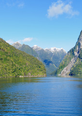 Fototapeta na wymiar an arm of Doubtful Sound in the South Island of New Zealand