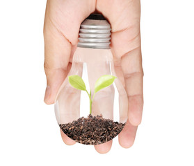 Ideas light bulb in  hand