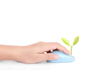 hands using  mouse with  plant