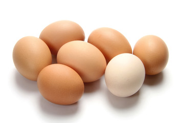 eggs