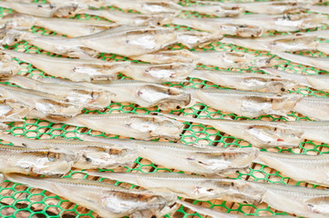 Traditional fish drying outdoors in countryside, Thailand.