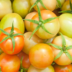Closeup fresh tomatoes