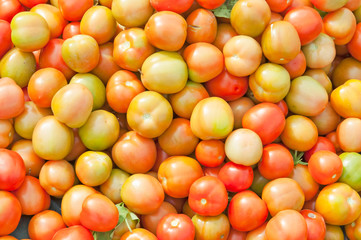 Closeup fresh tomatoes