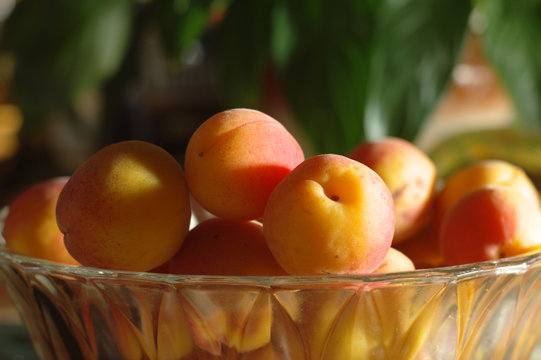 apricots in transparent glass bowl