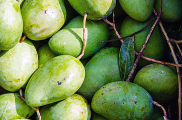 Green mangoes