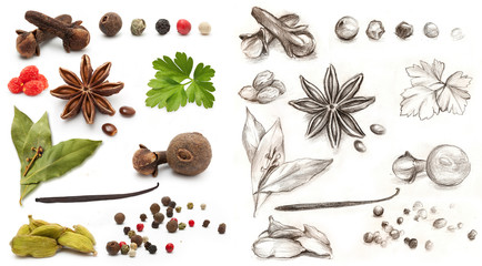 Different spices and herbs isolated on white background and hand