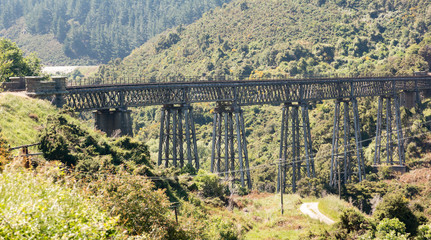 Naklejka premium Railway bridge up Taieri Gorge New Zealand